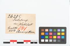 Etikett zu Bronzesternanhänger (NHMW-PRAE-026205)